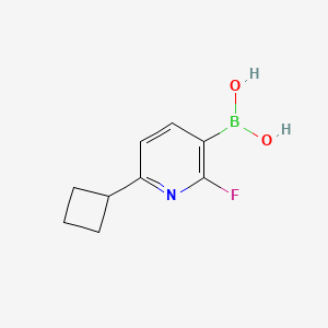 (6-Cyclobutyl-2-fluoropyridin-3-yl)boronic acid