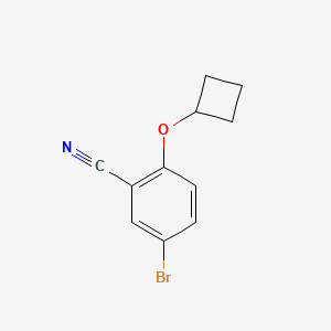 molecular formula C11H10BrNO B1407950 5-Bromo-2-cyclobutoxybenzonitrile CAS No. 1594671-86-9