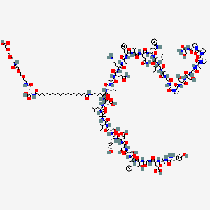 molecular formula C225H348N48O68 B14079614 2-[[20-[[6-[[1-[[1-[[5-amino-1-[[6-amino-1-[[1-[[1-[[1-[[5-amino-1-[[1-[[1-[[1-[[1-[[2-[[2-[2-[[1-[[1-[[2-[[1-[2-[2-[2-[(1-amino-3-hydroxy-1-oxopropan-2-yl)carbamoyl]pyrrolidine-1-carbonyl]pyrrolidine-1-carbonyl]pyrrolidin-1-yl]-1-oxopropan-2-yl]amino]-2-oxoethyl]amino]-3-hydroxy-1-oxopropan-2-yl]amino]-3-hydroxy-1-oxopropan-2-yl]carbamoyl]pyrrolidin-1-yl]-2-oxoethyl]amino]-2-oxoethyl]amino]-1-oxopropan-2-yl]amino]-3-methyl-1-oxopentan-2-yl]amino]-4-methyl-1-oxopentan-2-yl]amino]-3-(1H-indol-3-yl)-1-oxopropan-2-yl]amino]-1,5-dioxopentan-2-yl]amino]-3-methyl-1-oxobutan-2-yl]amino]-1-oxo-3-phenylpropan-2-yl]amino]-1-oxopropan-2-yl]amino]-1-oxohexan-2-yl]amino]-1,5-dioxopentan-2-yl]amino]-1-oxopropan-2-yl]amino]-3-methyl-1-oxopentan-2-yl]amino]-5-[[2-[[2-[[2-[[2-[[2-[[2-[[2-[[2-[[2-[[2-[[2-[[2-[[2-[[2-[[2-amino-3-(4-hydroxyphenyl)propanoyl]amino]-2-methylpropanoyl]amino]-4-carboxybutanoyl]amino]acetyl]amino]-3-hydroxybutanoyl]amino]-3-phenylpropanoyl]amino]-3-hydroxybutanoyl]amino]-3-hydroxypropanoyl]amino]-3-carboxypropanoyl]amino]-3-(4-hydroxyphenyl)propanoyl]amino]-3-hydroxypropanoyl]amino]-3-methylpentanoyl]amino]-2-methylpropanoyl]amino]-4-methylpentanoyl]amino]-3-carboxypropanoyl]amino]-6-oxohexyl]amino]-20-oxoicosanoyl]amino]-5-[2-[2-[2-[2-[2-(carboxymethoxy)ethoxy]ethylamino]-2-oxoethoxy]ethoxy]ethylamino]-5-oxopentanoic acid 