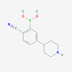 molecular formula C12H15BN2O2 B14079693 (2-Cyano-5-(piperidin-4-yl)phenyl)boronic acid 