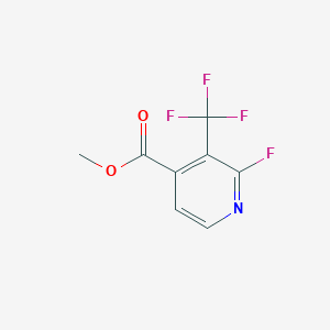 molecular formula C8H5F4NO2 B1408043 Methyl 2-fluoro-3-(trifluoromethyl)isonicotinate CAS No. 1227563-87-2
