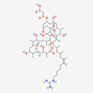 molecular formula C58H103N3O18 B14080511 3-oxo-3-[[(10E,20E)-5,7,9,19,23,25,27,31,33,34,35-undecahydroxy-8,10,14,18,22,26,30-heptamethyl-15-[(Z)-4-methyl-10-[(N'-methylcarbamimidoyl)amino]dec-4-en-2-yl]-17-oxo-16,37-dioxabicyclo[31.3.1]heptatriaconta-10,20-dien-3-yl]oxy]propanoic acid 