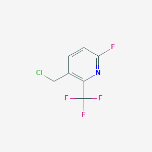 molecular formula C7H4ClF4N B1408058 3-(氯甲基)-6-氟-2-(三氟甲基)吡啶 CAS No. 1227502-18-2