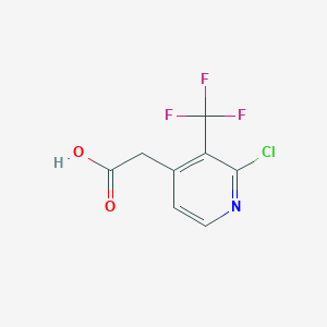 molecular formula C8H5ClF3NO2 B1408070 2-Chloro-3-(trifluoromethyl)pyridine-4-acetic acid CAS No. 1227578-78-0