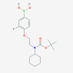 molecular formula C19H29BFNO5 B1408111 (4-(2-((tert-ブトキシカルボニル)(シクロヘキシル)アミノ)エトキシ)-3-フルオロフェニル)ボロン酸 CAS No. 1704097-41-5