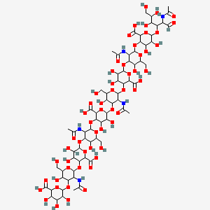 molecular formula C70H107N5O56 B14081268 6-[3-Acetamido-2-[6-[3-acetamido-2-[6-[3-acetamido-2-[6-[3-acetamido-2-[6-(2-acetamido-4,5,6-trihydroxy-1-oxohexan-3-yl)oxy-2-carboxy-4,5-dihydroxyoxan-3-yl]oxy-5-hydroxy-6-(hydroxymethyl)oxan-4-yl]oxy-2-carboxy-4,5-dihydroxyoxan-3-yl]oxy-5-hydroxy-6-(hydroxymethyl)oxan-4-yl]oxy-2-carboxy-4,5-dihydroxyoxan-3-yl]oxy-5-hydroxy-6-(hydroxymethyl)oxan-4-yl]oxy-2-carboxy-4,5-dihydroxyoxan-3-yl]oxy-5-hydroxy-6-(hydroxymethyl)oxan-4-yl]oxy-3,4,5-trihydroxyoxane-2-carboxylic acid 