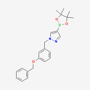 molecular formula C23H27BN2O3 B1408158 1-(3-(苯甲氧基)苄基)-4-(4,4,5,5-四甲基-1,3,2-二恶杂硼环-2-基)-1H-吡唑 CAS No. 1430750-52-9