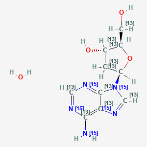 molecular formula C10H15N5O4 B14081851 (2R,3S,5R)-5-(6-(15N)azanylpurin-9-yl)-2-(hydroxy(113C)methyl)(2,3,4,5-13C4)oxolan-3-ol;hydrate 