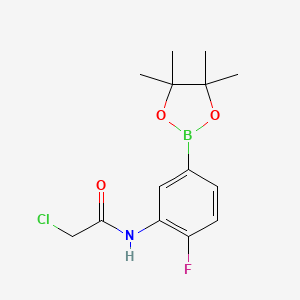 molecular formula C14H18BClFNO3 B1408249 2-chloro-N-(2-fluoro-5-(4,4,5,5-tetramethyl-1,3,2-dioxaborolan-2-yl)phenyl)acetamide CAS No. 1704121-19-6