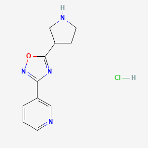 molecular formula C11H13ClN4O B1408271 3-(5-Pyrrolidin-3-yl-1,2,4-oxadiazol-3-yl)pyridine hydrochloride CAS No. 1638612-44-8