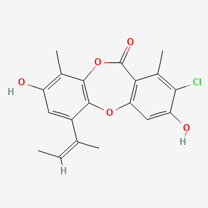 molecular formula C19H17ClO5 B14082936 2-Chlorounguinol 