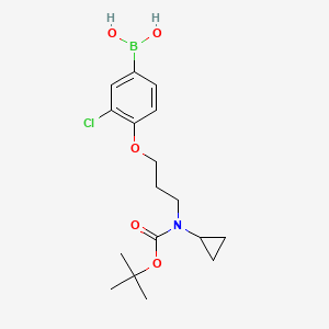 molecular formula C17H25BClNO5 B1408348 (4-(3-((Tert-butoxycarbonyl)(cyclopropyl)amino)propoxy)-3-chlorophenyl)boronic acid CAS No. 1704096-80-9