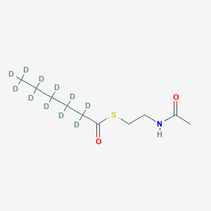 molecular formula C10H19NO2S B1408507 S-(2-Acetamidoethyl) 2,2,3,3,4,4,5,5,6,6,6-undecadeuteriohexanethioate CAS No. 1325714-73-5