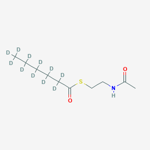 molecular formula C10H19NO2S B1408507 S-(2-乙酰氨基乙基) 2,2,3,3,4,4,5,5,6,6,6-十一氘己烷硫酸酯 CAS No. 1325714-73-5