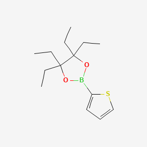 4,4,5,5-Tetraethyl-2-(thiophen-2-yl)-1,3,2-dioxaborolane