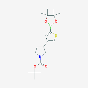 tert-Butyl 3-(5-(4,4,5,5-tetramethyl-1,3,2-dioxaborolan-2-yl)thiophen-3-yl)pyrrolidine-1-carboxylate