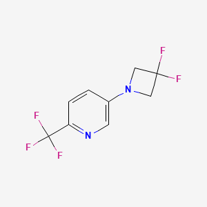 molecular formula C9H7F5N2 B1408709 5-(3,3-Difluoroazetidin-1-yl)-2-(trifluoromethyl)pyridine CAS No. 1779123-03-3