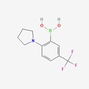 molecular formula C11H13BF3NO2 B1408733 2-(Pyrrolidin-1-yl)-5-(trifluoromethyl)phenylboronic acid CAS No. 1704063-76-2