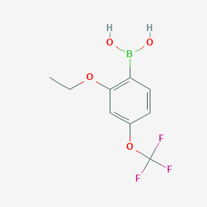 molecular formula C9H10BF3O4 B1408747 (2-Ethoxy-4-(Trifluormethoxy)phenyl)boronsäure CAS No. 1704064-18-5