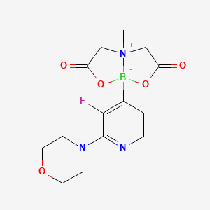 molecular formula C14H17BFN3O5 B1408767 8-(3-氟-2-吗啉代吡啶-4-基)-4-甲基-2,6-二氧六氢-[1,3,2]恶杂硼螺[2,3-b][1,3,2]恶杂硼螺-4-鎓-8-uide CAS No. 1704703-78-5