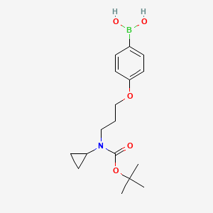 4-(3-(Tert-butoxycarbonyl(cyclopropyl)amino)propoxy)phenylboronic acid