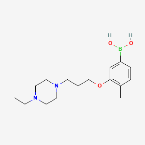 3-(3-(4-Ethylpiperazin-1-yl)propoxy)-4-methylphenylboronic acid