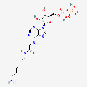 molecular formula C18H31N7O11P2 B14088297 N6-[(6-Aminohexyl)carbamoylmethyl]-ADP 