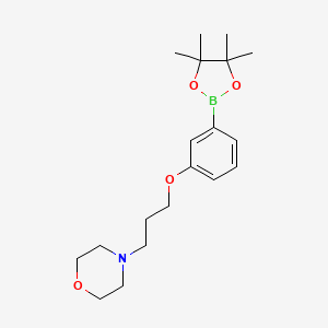 molecular formula C19H30BNO4 B1408874 4-(3-(3-(4,4,5,5-Tetramethyl-1,3,2-dioxaborolan-2-yl)phenoxy)propyl)morpholine CAS No. 1704065-77-9