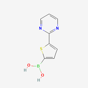 (5-(Pyrimidin-2-yl)thiophen-2-yl)boronic acid