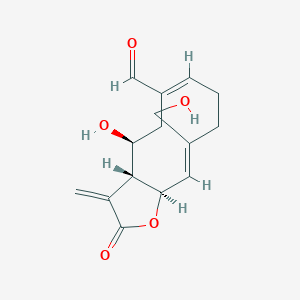 Urospermal