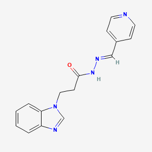 3-(1H-benzimidazol-1-yl)-N'-[(E)-pyridin-4-ylmethylidene]propanehydrazide