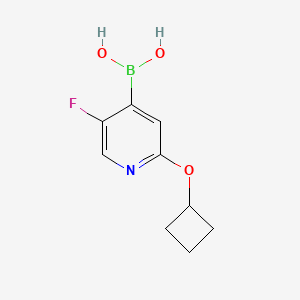 (2-Cyclobutoxy-5-fluoropyridin-4-yl)boronic acid