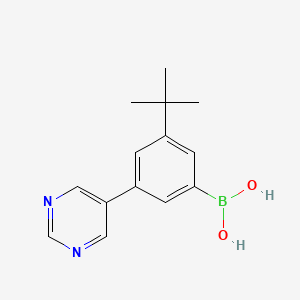 molecular formula C14H17BN2O2 B14090142 (3-(tert-Butyl)-5-(pyrimidin-5-yl)phenyl)boronic acid 