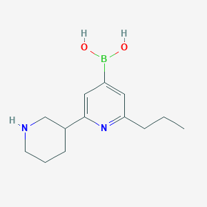 molecular formula C13H21BN2O2 B14090381 (2-(Piperidin-3-yl)-6-propylpyridin-4-yl)boronic acid 