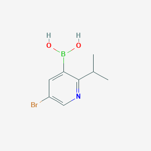 molecular formula C8H11BBrNO2 B14090530 (5-Bromo-2-isopropylpyridin-3-yl)boronic acid 