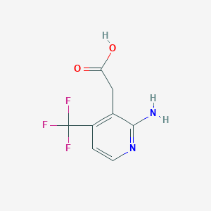 molecular formula C8H7F3N2O2 B1409263 2-氨基-4-(三氟甲基)吡啶-3-乙酸 CAS No. 1227582-12-8
