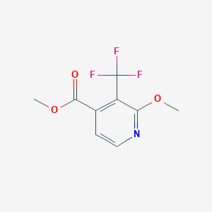 B1409278 Methyl 2-methoxy-3-(trifluoromethyl)isonicotinate CAS No. 1227575-83-8