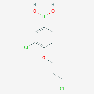 B1409303 (3-Chloro-4-(3-chloropropoxy)phenyl)boronic acid CAS No. 1704074-33-8