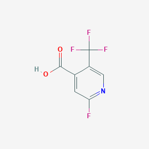 molecular formula C7H3F4NO2 B1409329 2-氟-5-(三氟甲基)异烟酸 CAS No. 1227574-99-3