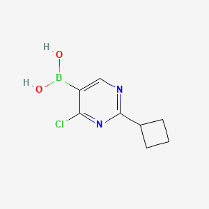 molecular formula C8H10BClN2O2 B14094070 (4-Chloro-2-cyclobutylpyrimidin-5-yl)boronic acid 