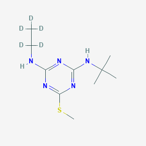 molecular formula C10H19N5S B1409488 Terbutryn D5 (ethyl D5) CAS No. 1219804-47-3