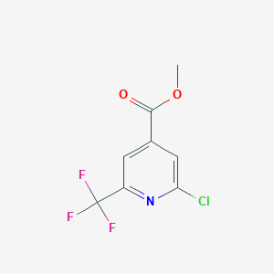 molecular formula C8H5ClF3NO2 B1409598 2-氯-6-(三氟甲基)异烟酸甲酯 CAS No. 1227594-40-2