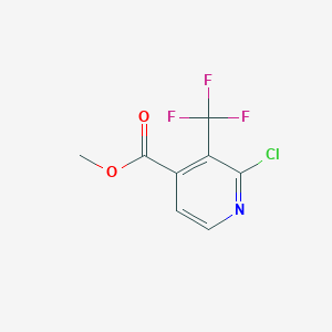 molecular formula C8H5ClF3NO2 B1409618 Methyl 2-chloro-3-(trifluoromethyl)isonicotinate CAS No. 1227575-06-5