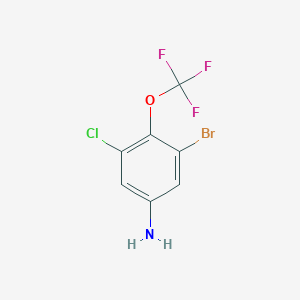 3-Bromo-5-chloro-4-(trifluoromethoxy)aniline