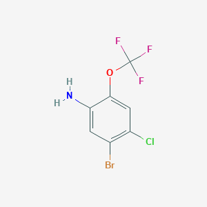 5-Bromo-4-chloro-2-(trifluoromethoxy)aniline