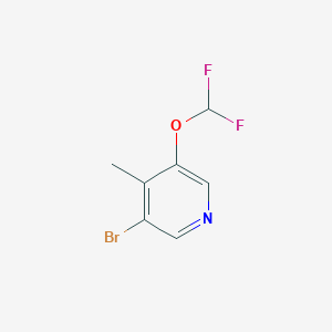 3-Bromo-5-difluoromethoxy-4-methylpyridine