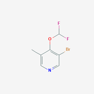 molecular formula C7H6BrF2NO B1409774 3-Bromo-4-difluoromethoxy-5-methylpyridine CAS No. 1805592-19-1
