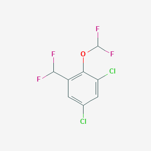 molecular formula C8H4Cl2F4O B1409803 3,5-Dichloro-2-(difluoromethoxy)benzodifluoride CAS No. 1804516-17-3