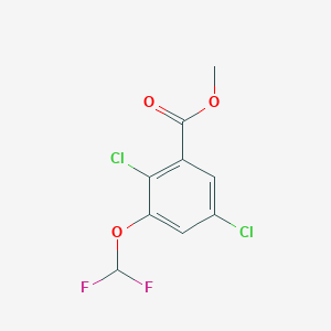 molecular formula C9H6Cl2F2O3 B1409905 Methyl 2,5-dichloro-3-(difluoromethoxy)benzoate CAS No. 1807059-07-9