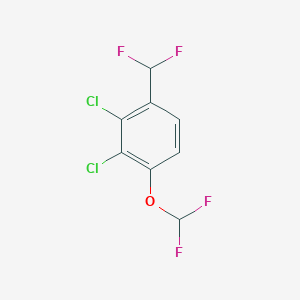 molecular formula C8H4Cl2F4O B1409913 2,3-Dichloro-4-(difluoromethoxy)benzodifluoride CAS No. 1804516-12-8